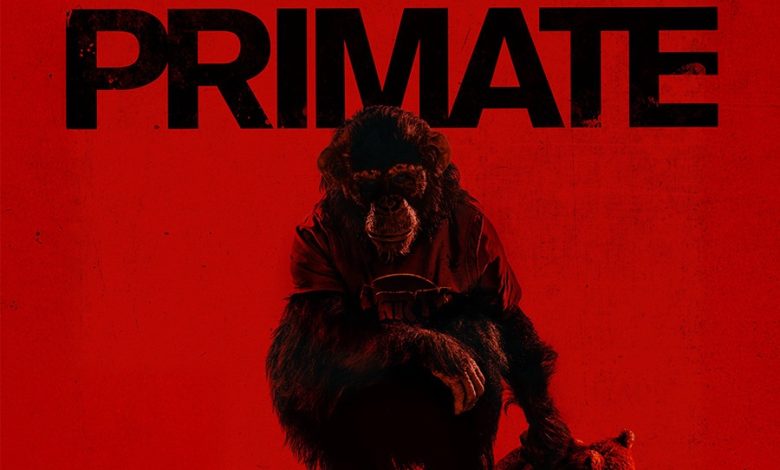 Primat 2026 izle